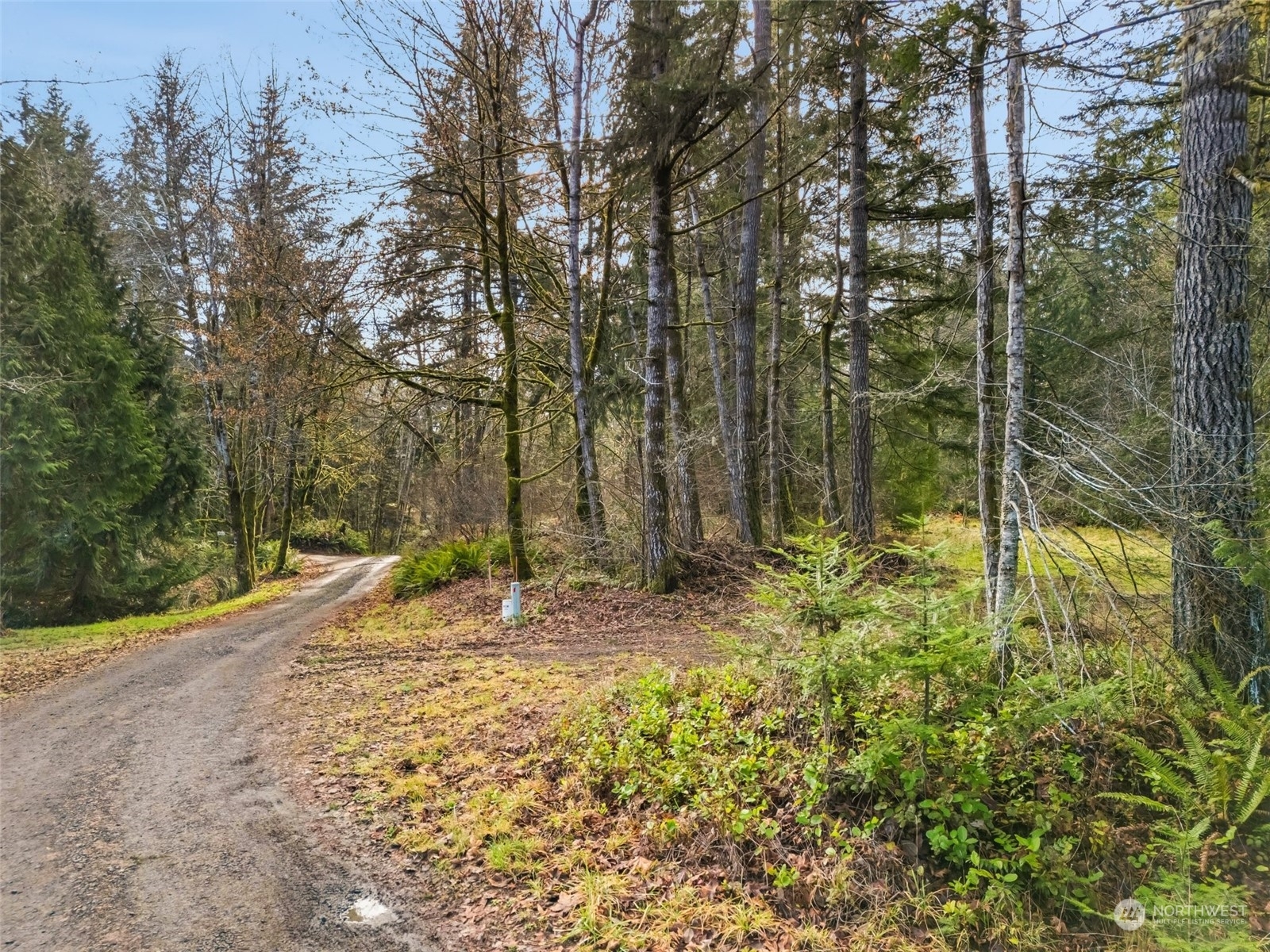 Property Photo:  0 Lot B SE Iamret Lane  WA 98584 