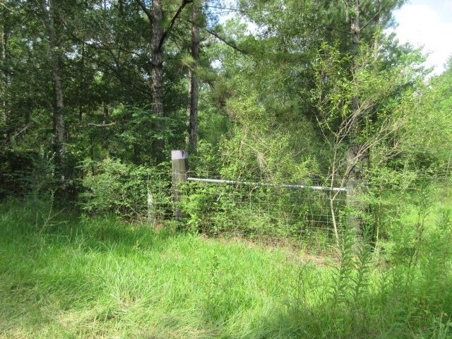 Property Photo: Sandbar Rd TX 77639