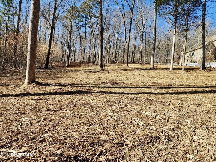 Hickory Pointe Lane  Maynardville TN 37807 photo