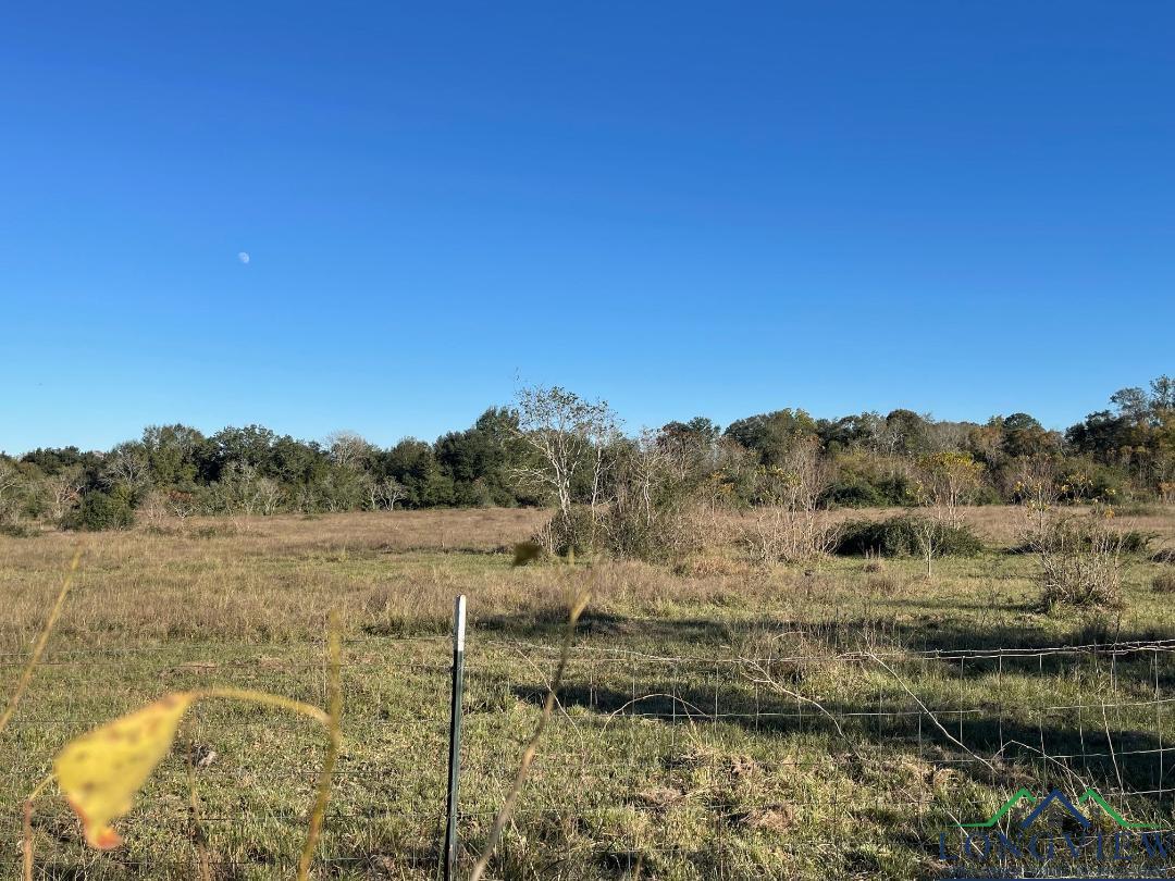Property Photo: Tbd Cemetary Rd, Manvel TX 77578-3947
