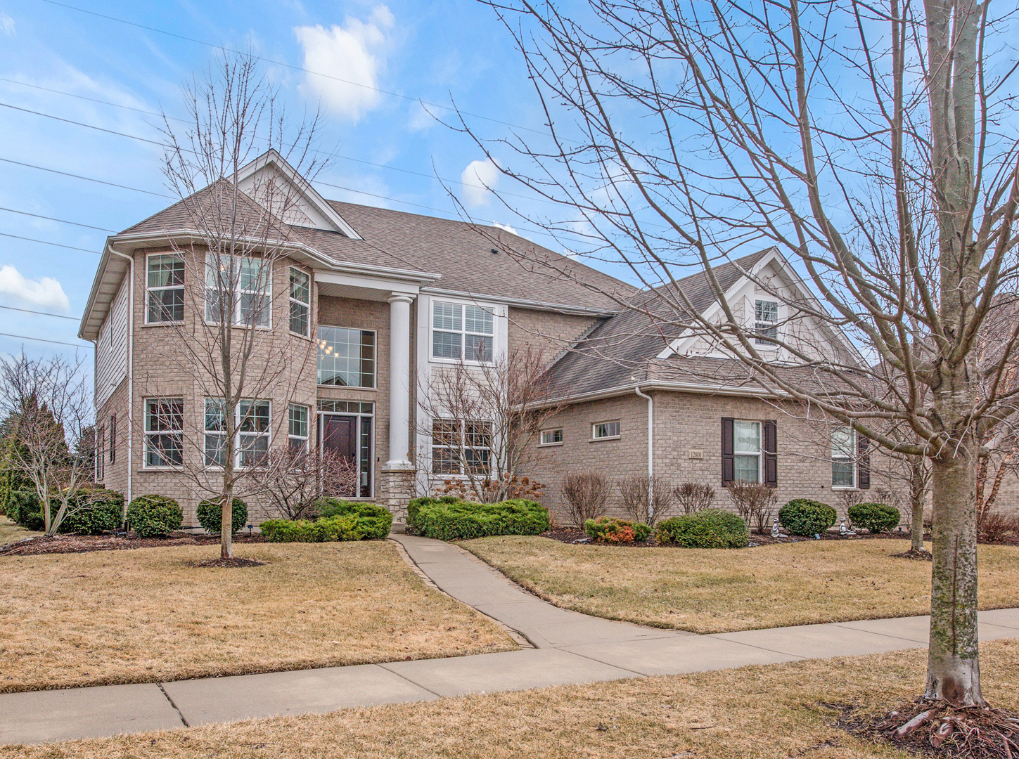 Property Photo:  12801 Dunmoor Drive  IL 60439 