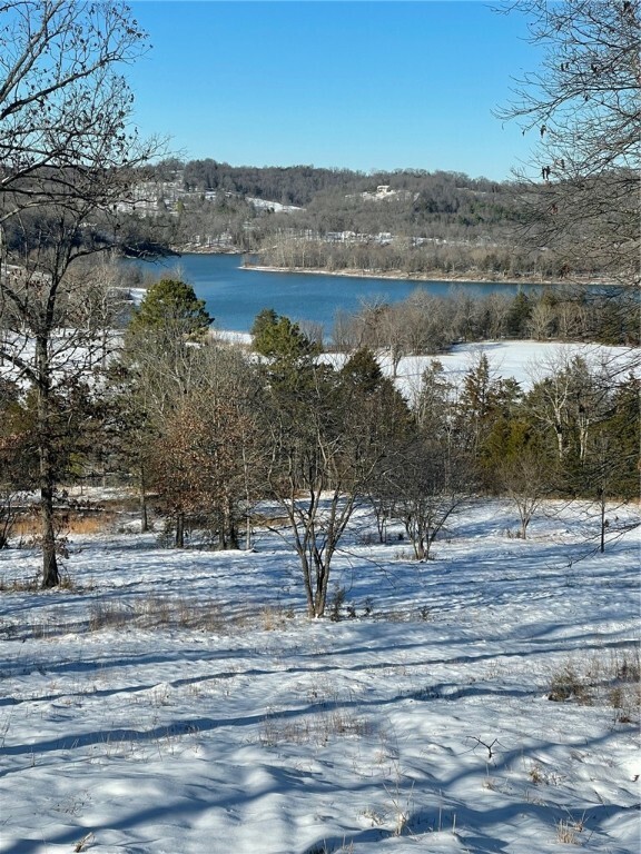 Property Photo:  14696 Hwy 311 N Road  AR 72638 