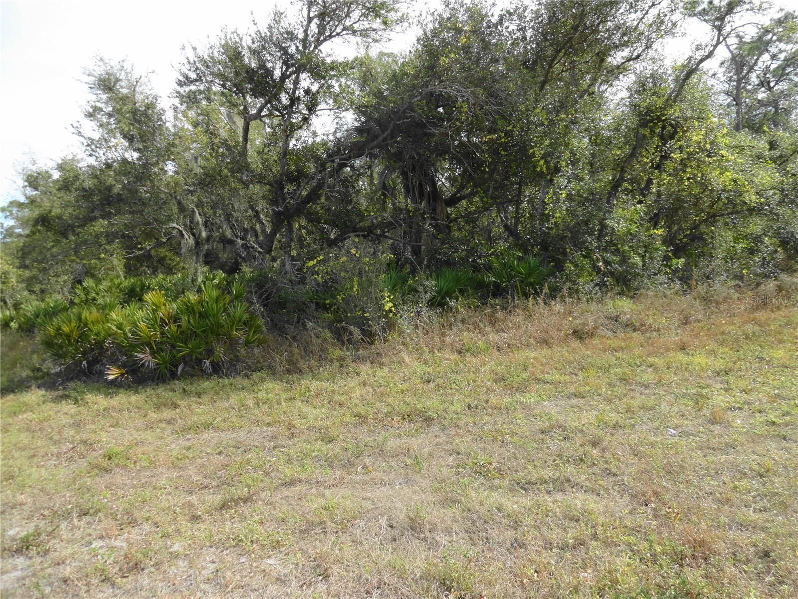 Property Photo:  17043 Arthur Avenue  FL 33948 