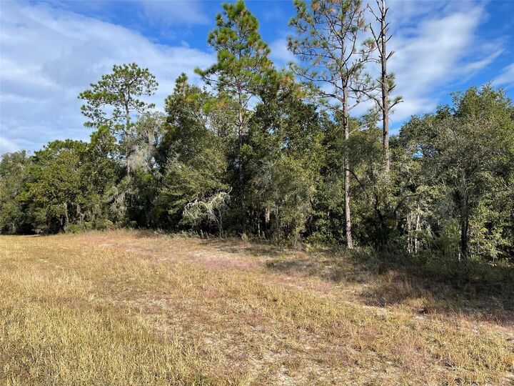 Property Photo: Lot 44 SW 102nd Street Road FL 34431