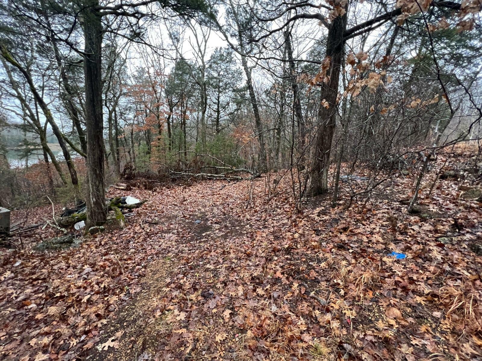 Property Photo:  9288 Lakeview Drive  MO 63628 