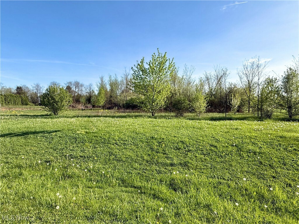 Property Photo: 49451 Foxwood Lane OH 44413