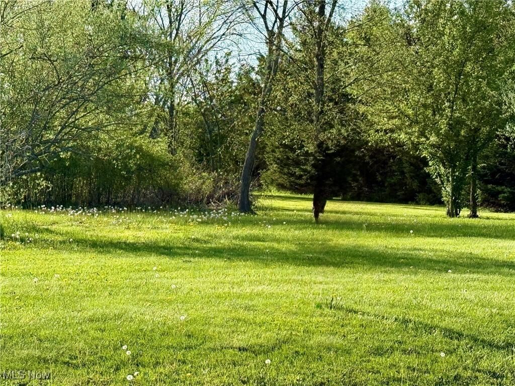 Property Photo: 49632 Foxwood Lane OH 44413