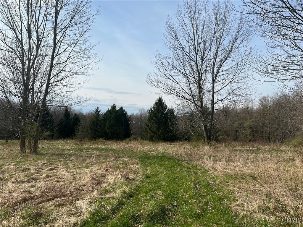 Property Photo:  Gallagher Road  NY 13045 