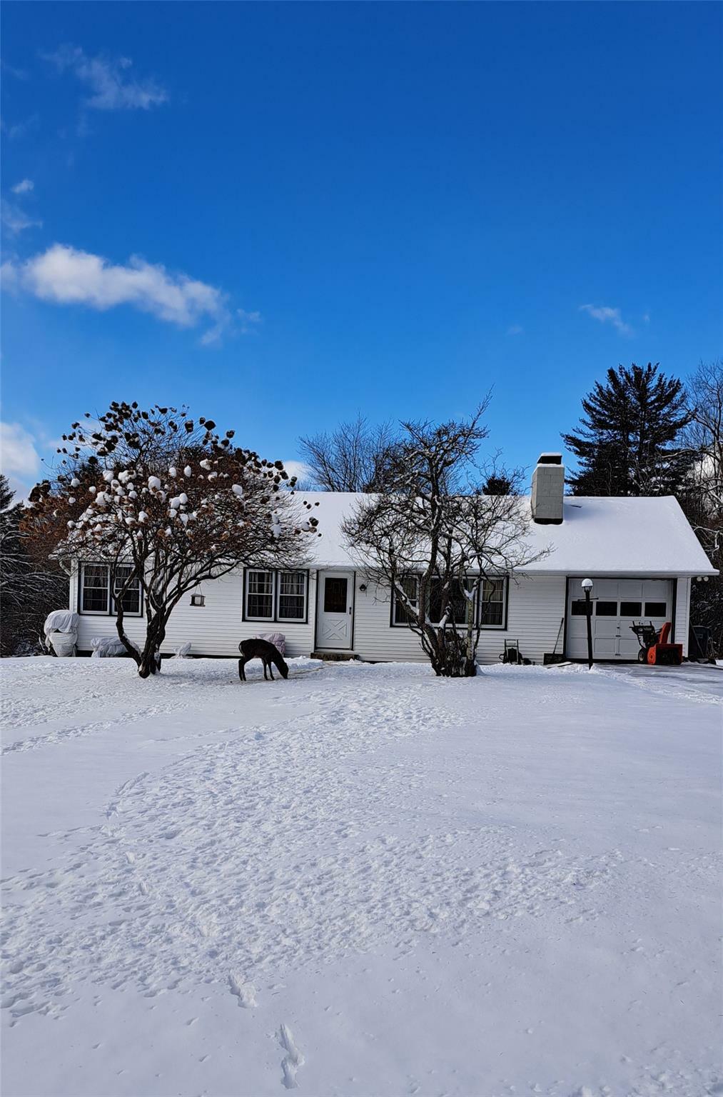 Property Photo:  416 Brown Road  NY 12428 