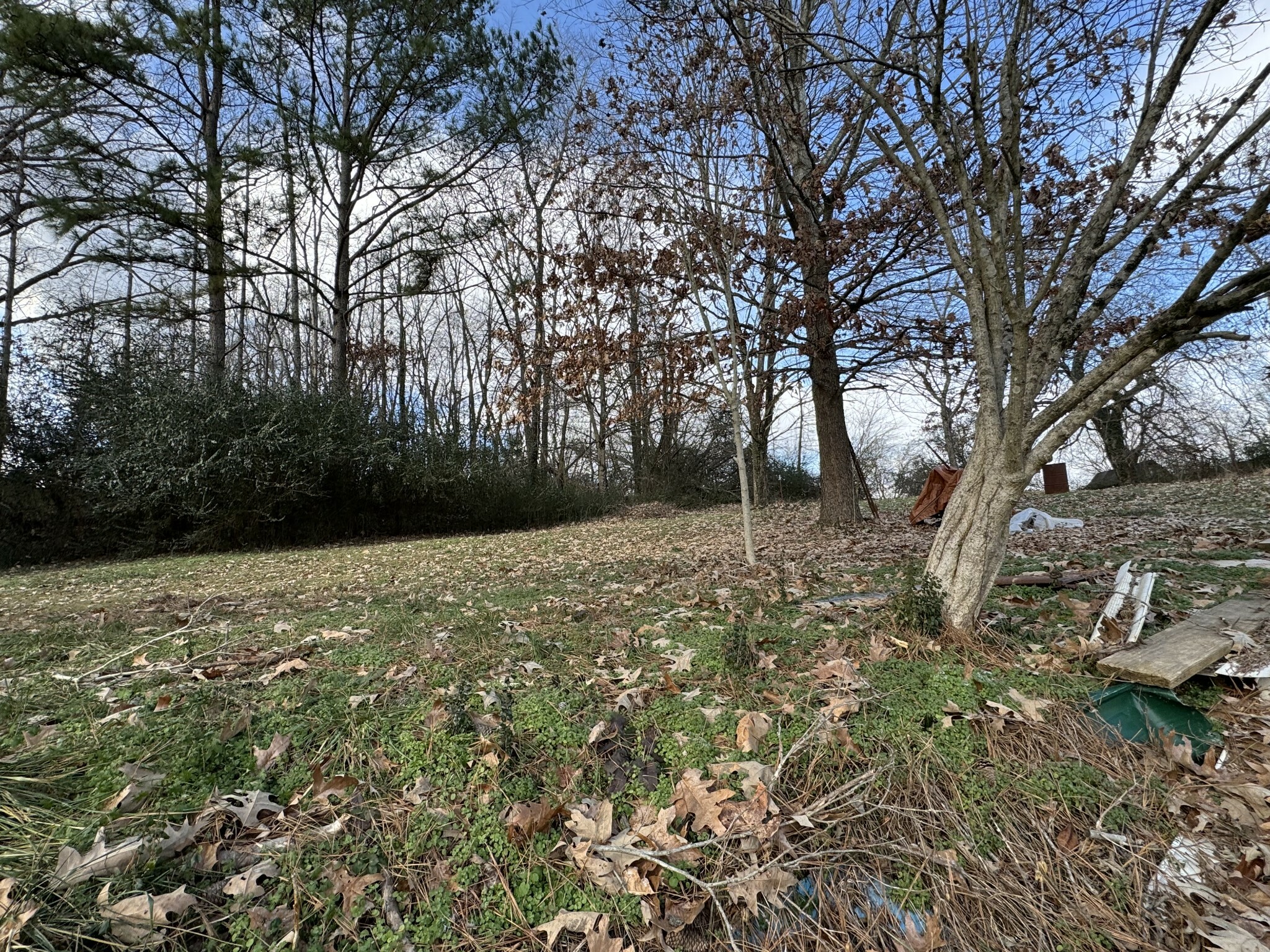 Property Photo:  206 Conger St  TN 37050 