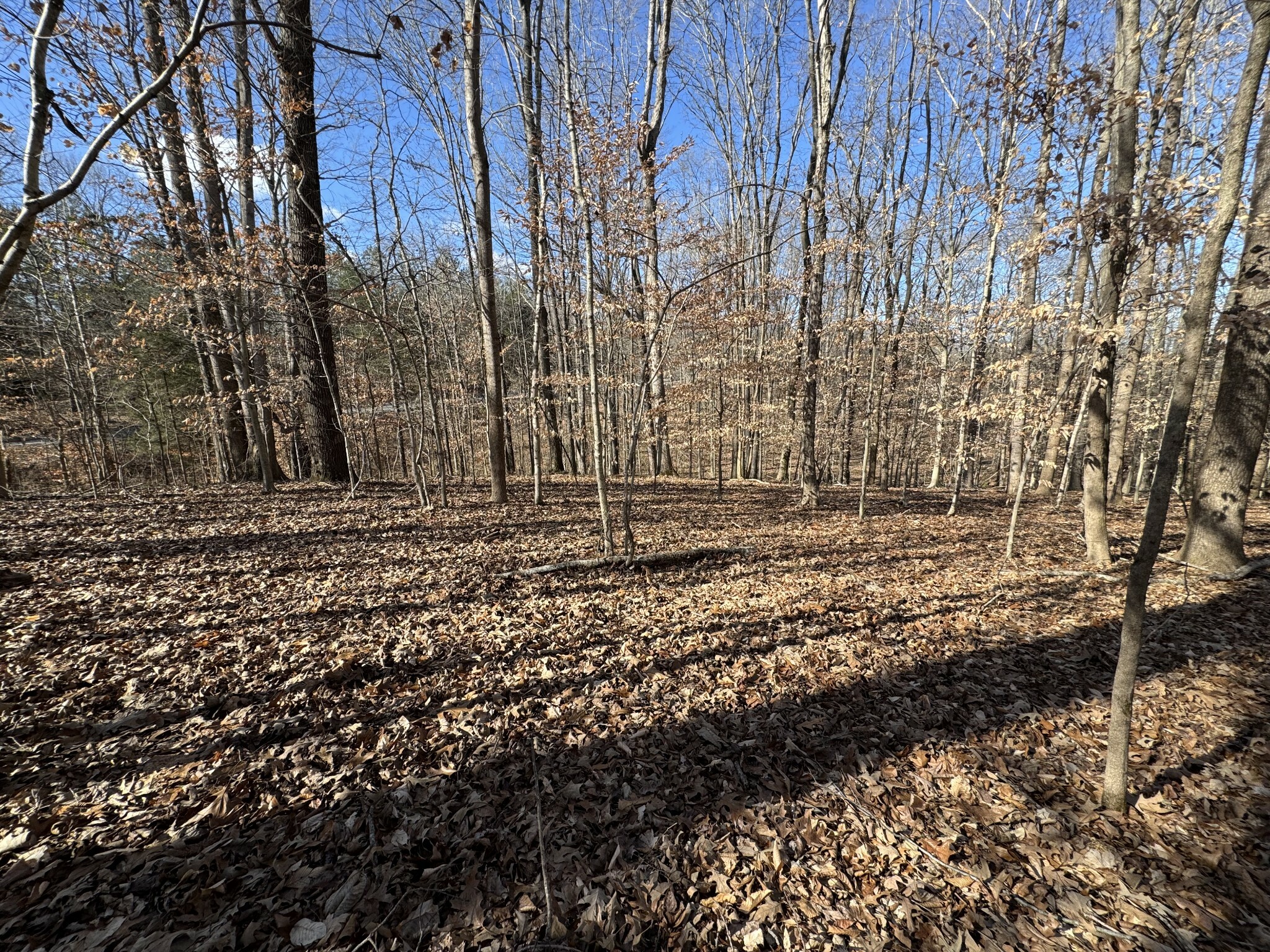 Property Photo:  0 Cumberland City Rd  TN 37050 