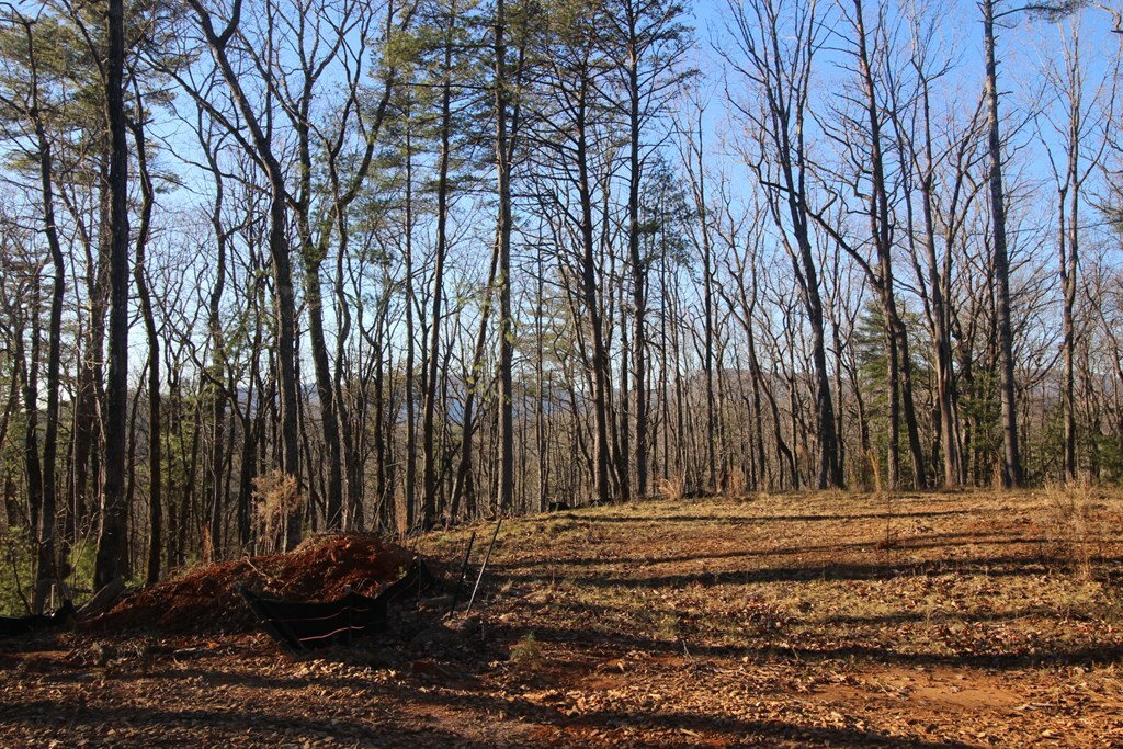 Property Photo:  Lot 10 Johnston Road  GA 30513 