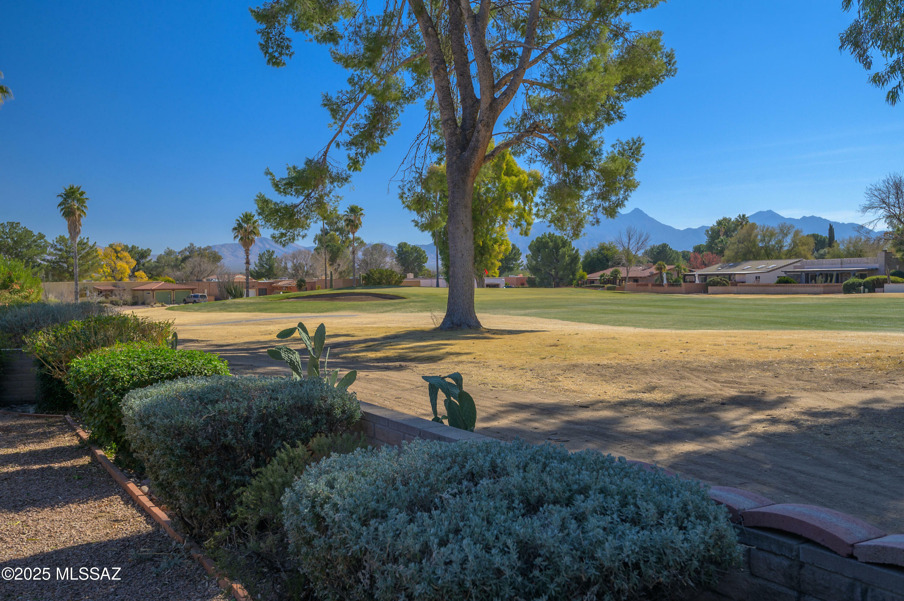 Property Photo:  1013 N Paseo Iris  AZ 85614 