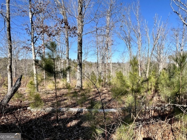 Property Photo:  Lot 4 High River Road  GA 30540 