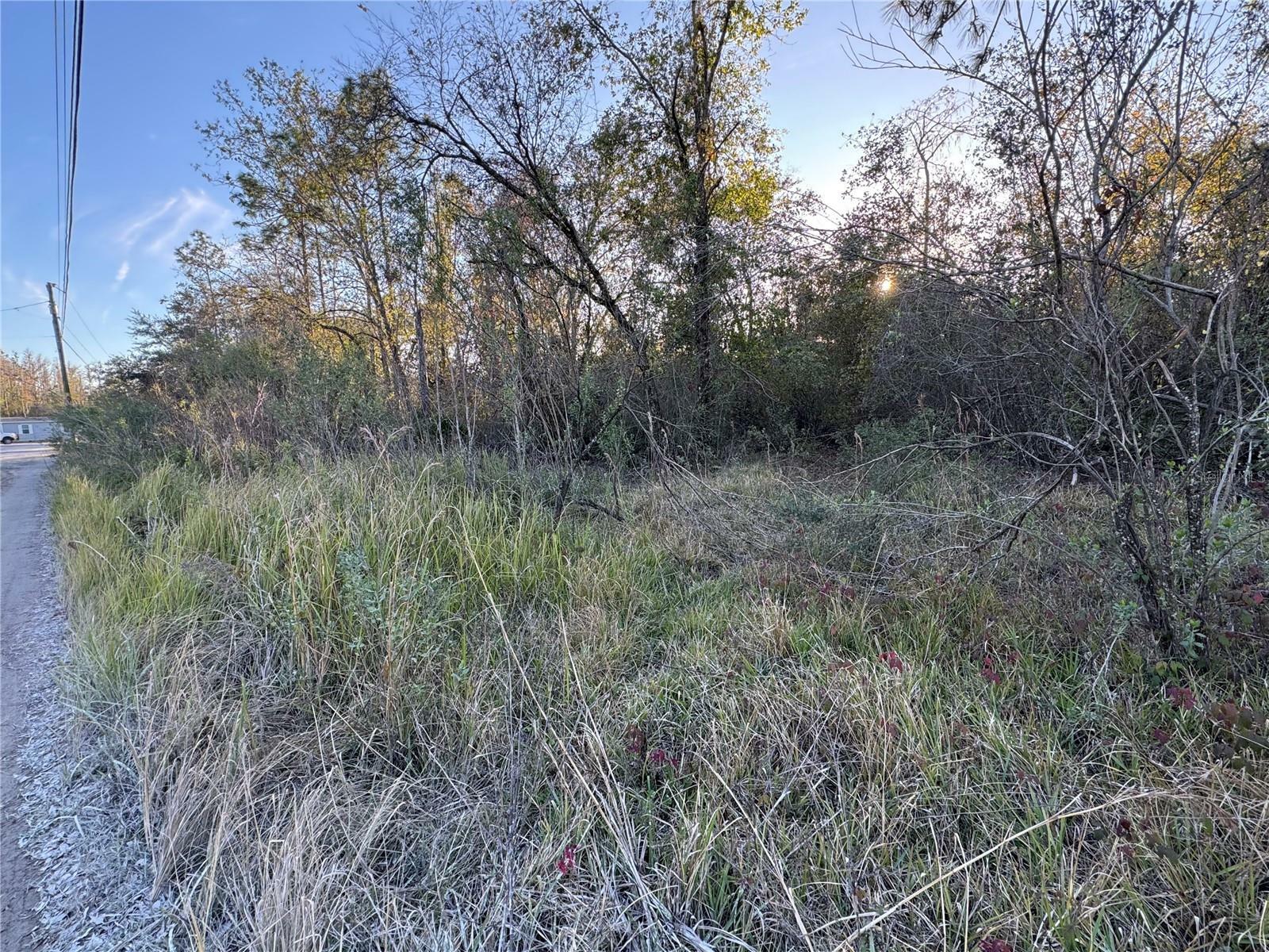 Property Photo:  10612 Pathfinder Trail  FL 33809 