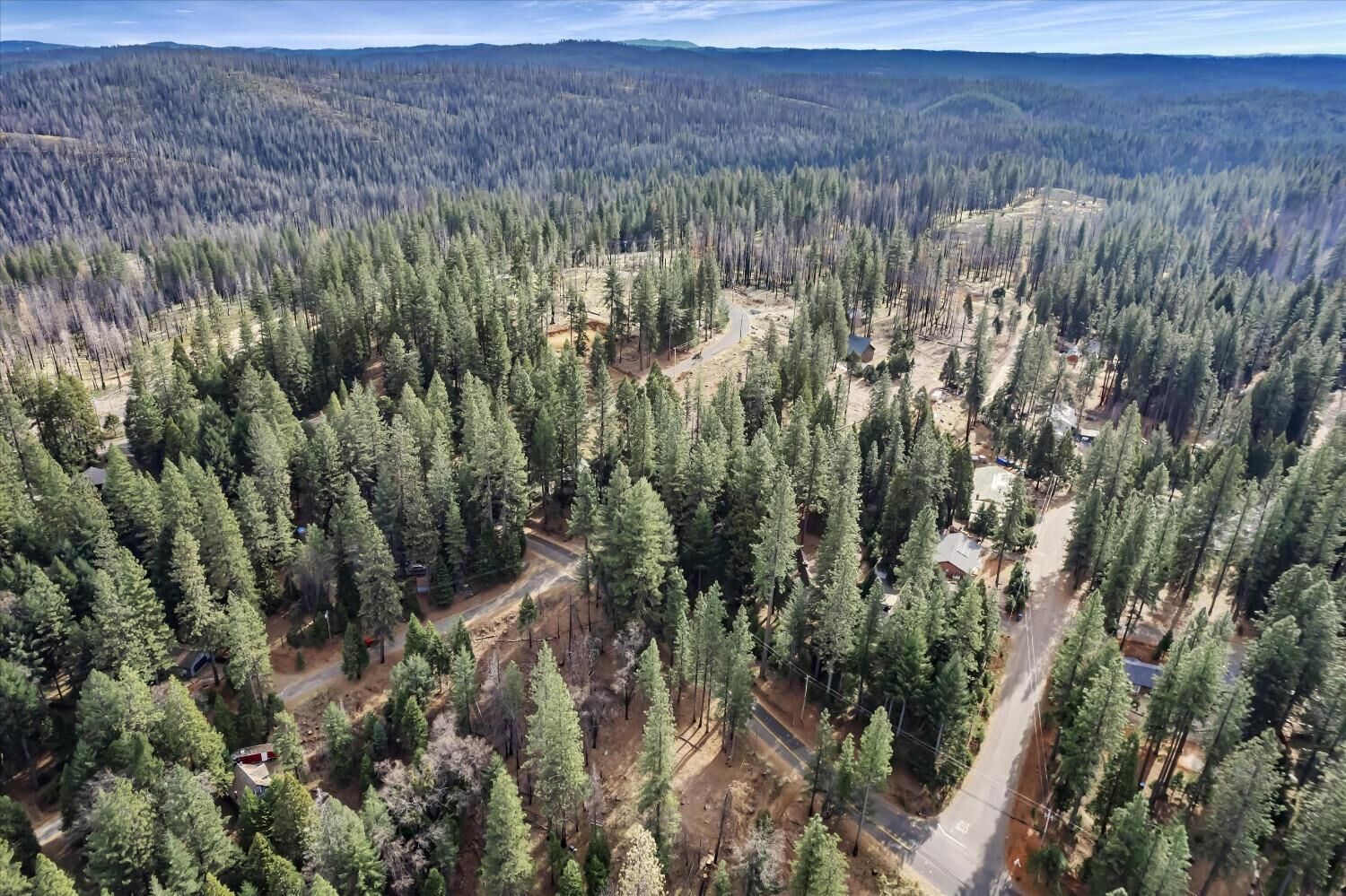 Property Photo: 9893 Grizzly Flat Road CA 95636