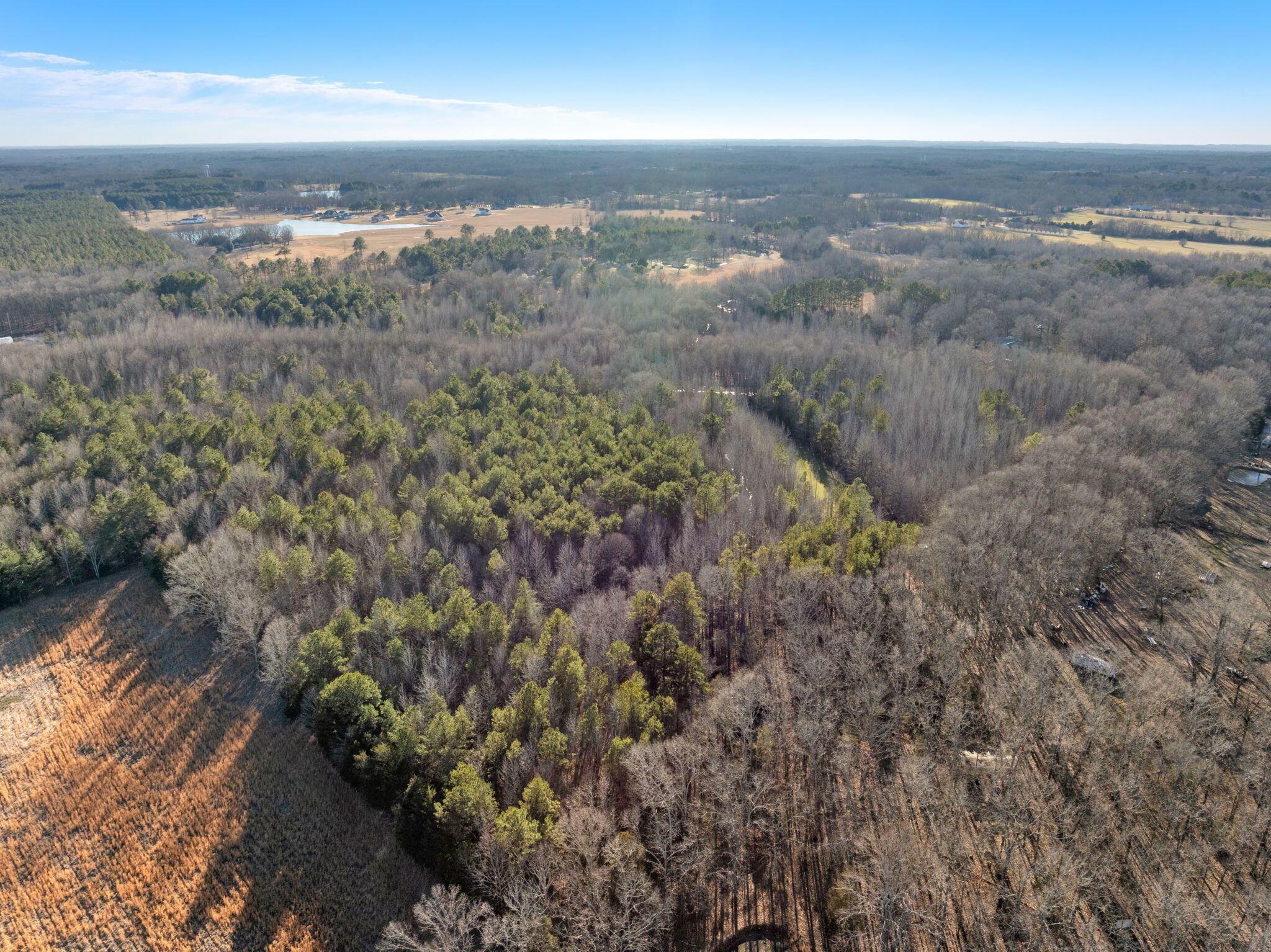 Property Photo:  Lot 1 0 John George Loop  TN 38357 