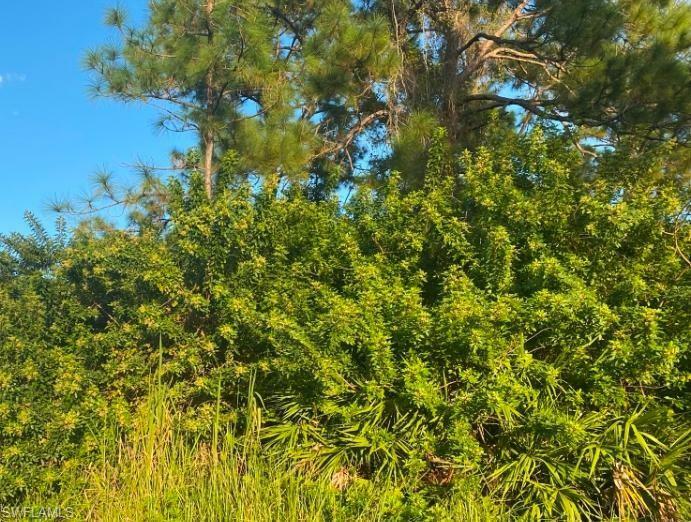 Property Photo: 2401/2403 Owen Ave S FL 33973
