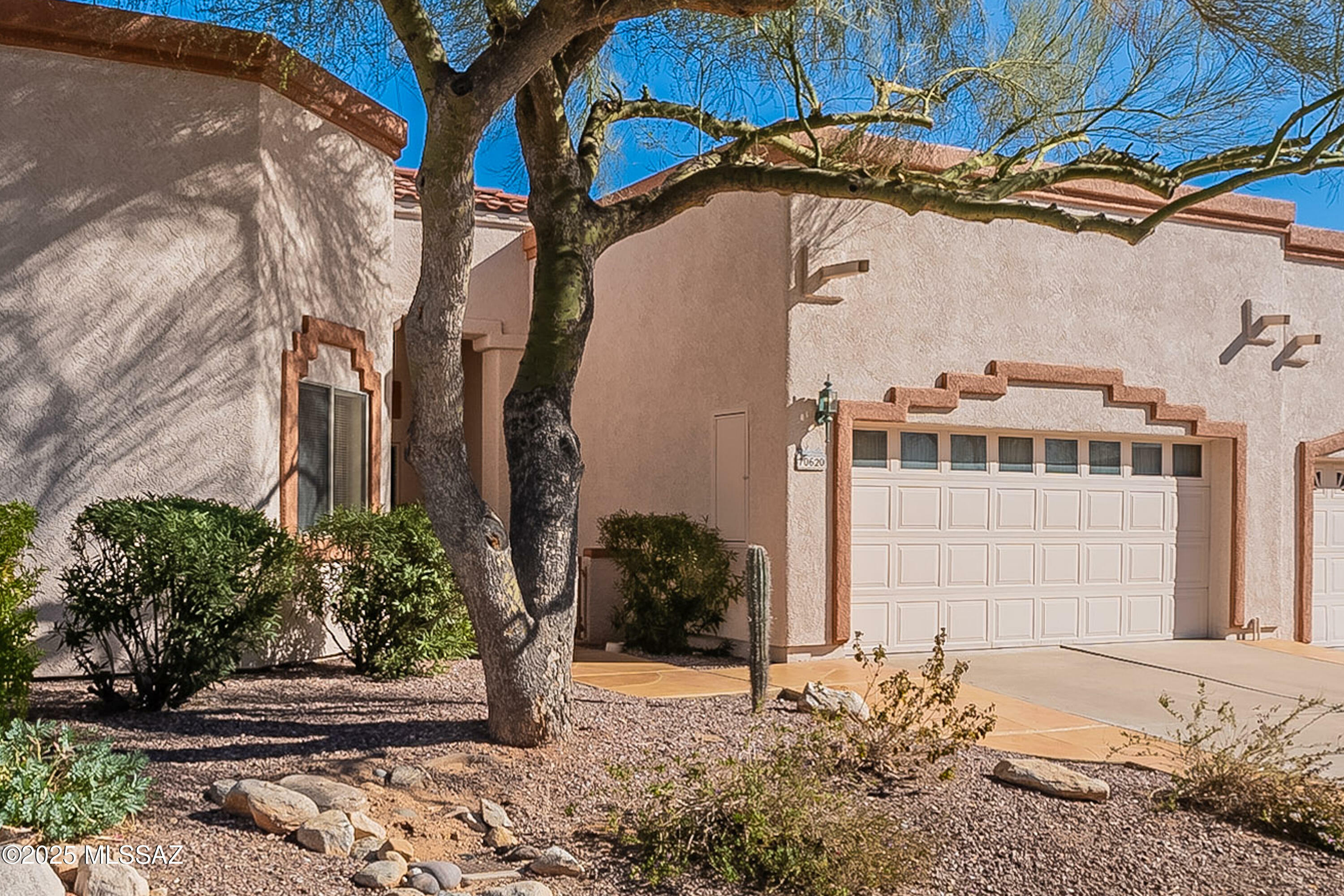 Property Photo:  10620 N Laughing Coyote Way  AZ 85737 