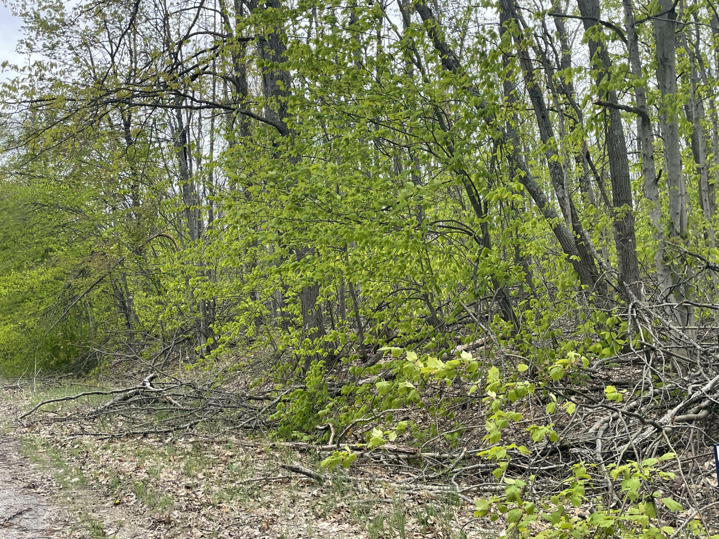 Property Photo: 990-994 Arawak Pass MI 49735