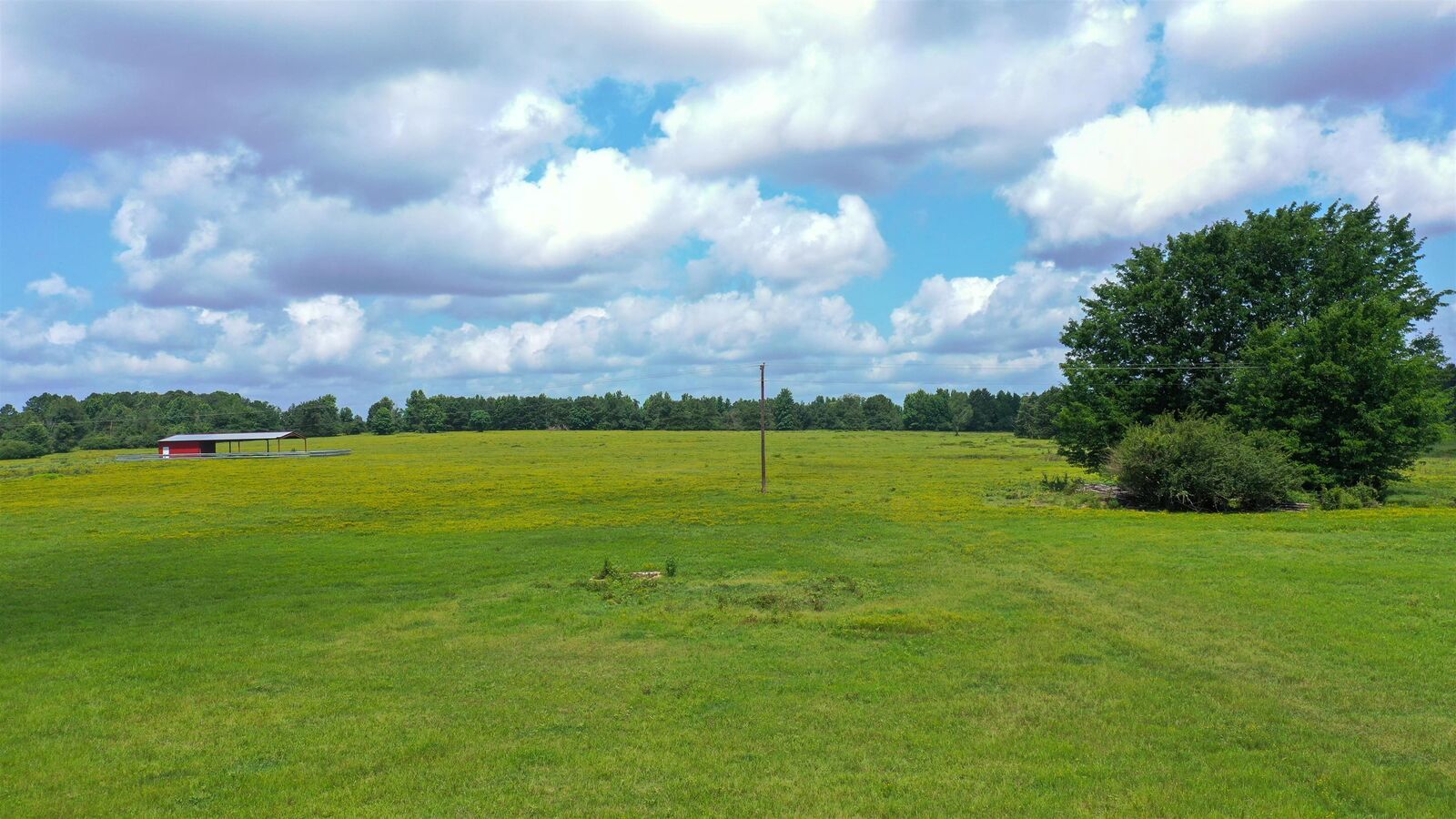 Property Photo:  Tbd Fm 248  TX 75563 