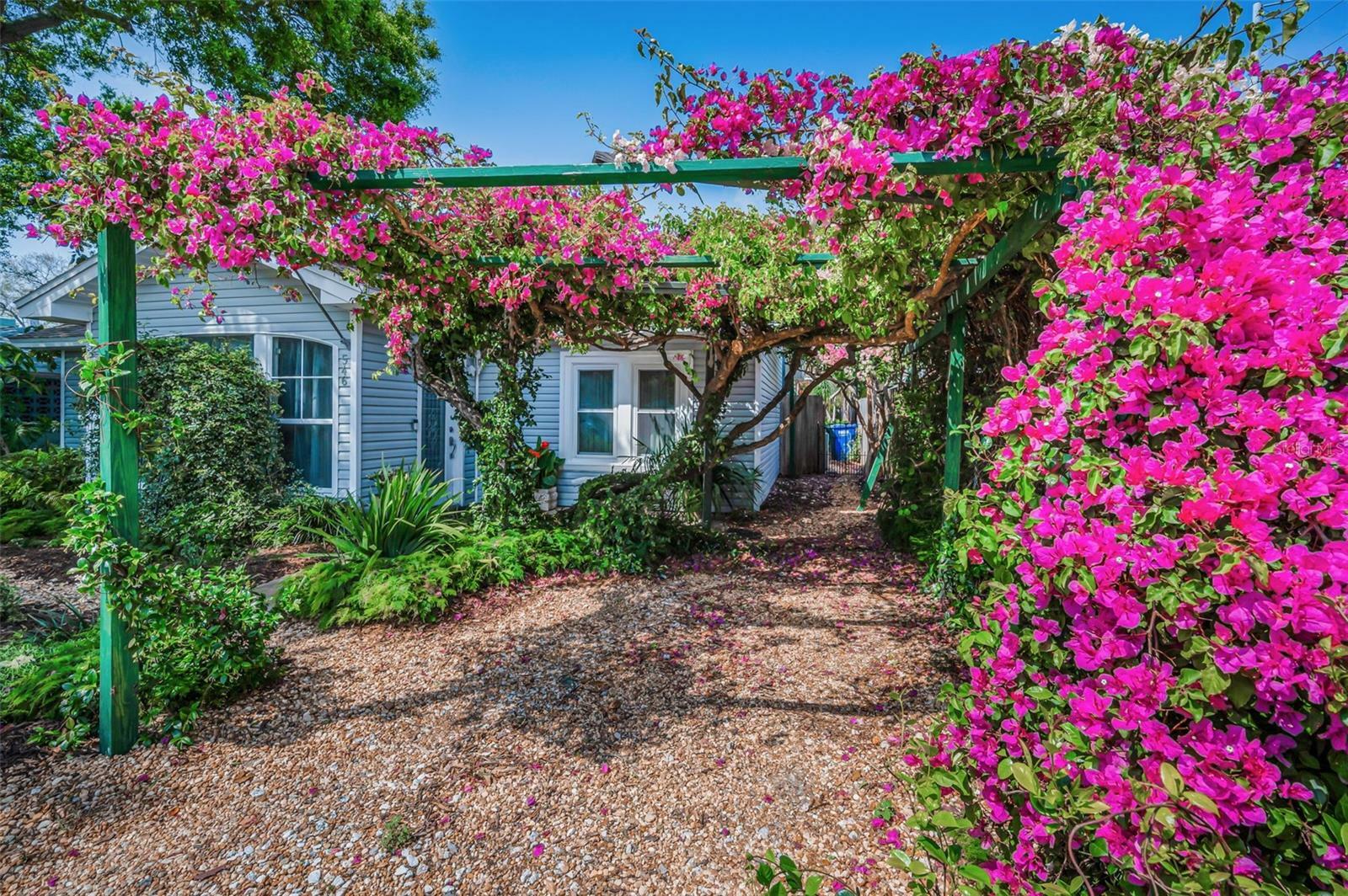 Property Photo: 546 Orangewood Drive FL 34698