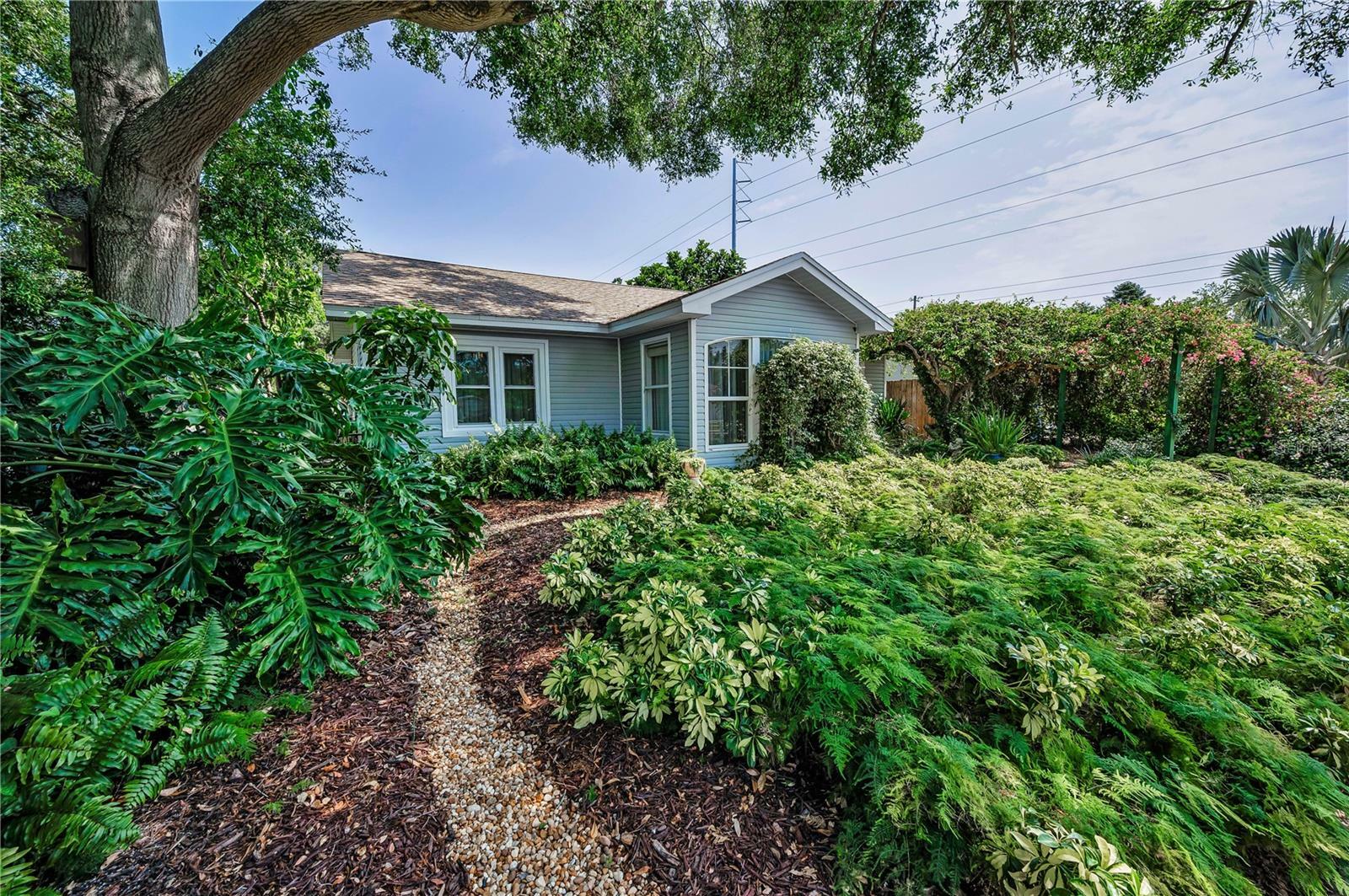 Property Photo: 546 Orangewood Drive FL 34698
