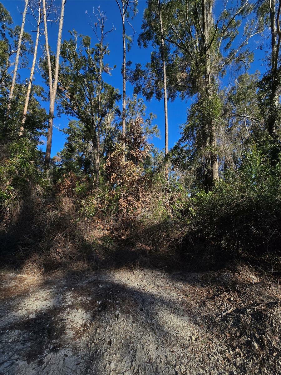 Property Photo:  Tbd SW Alabama Glen  FL 32038 