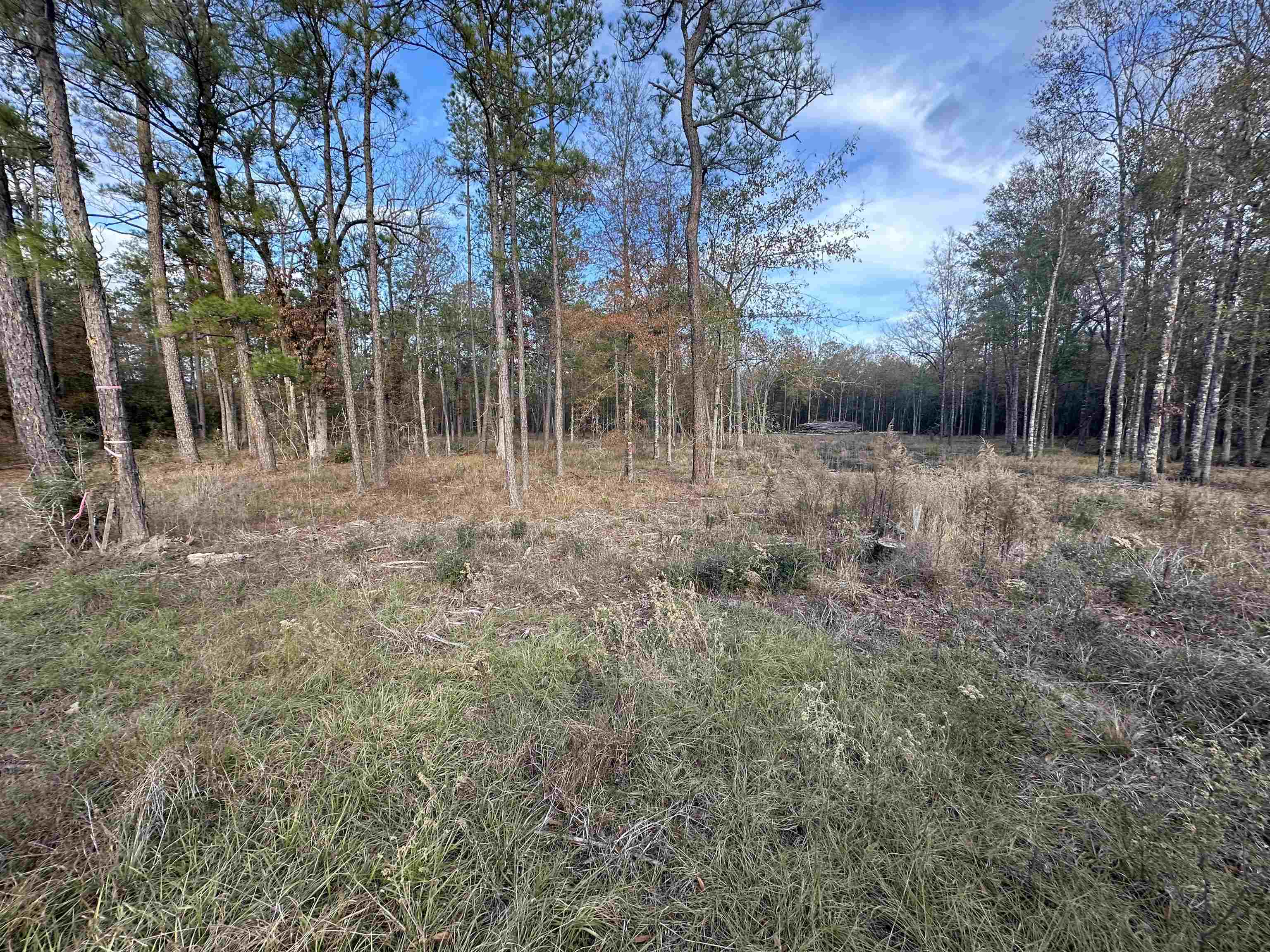 Property Photo:  10499 Country Road 701  TX 77612 