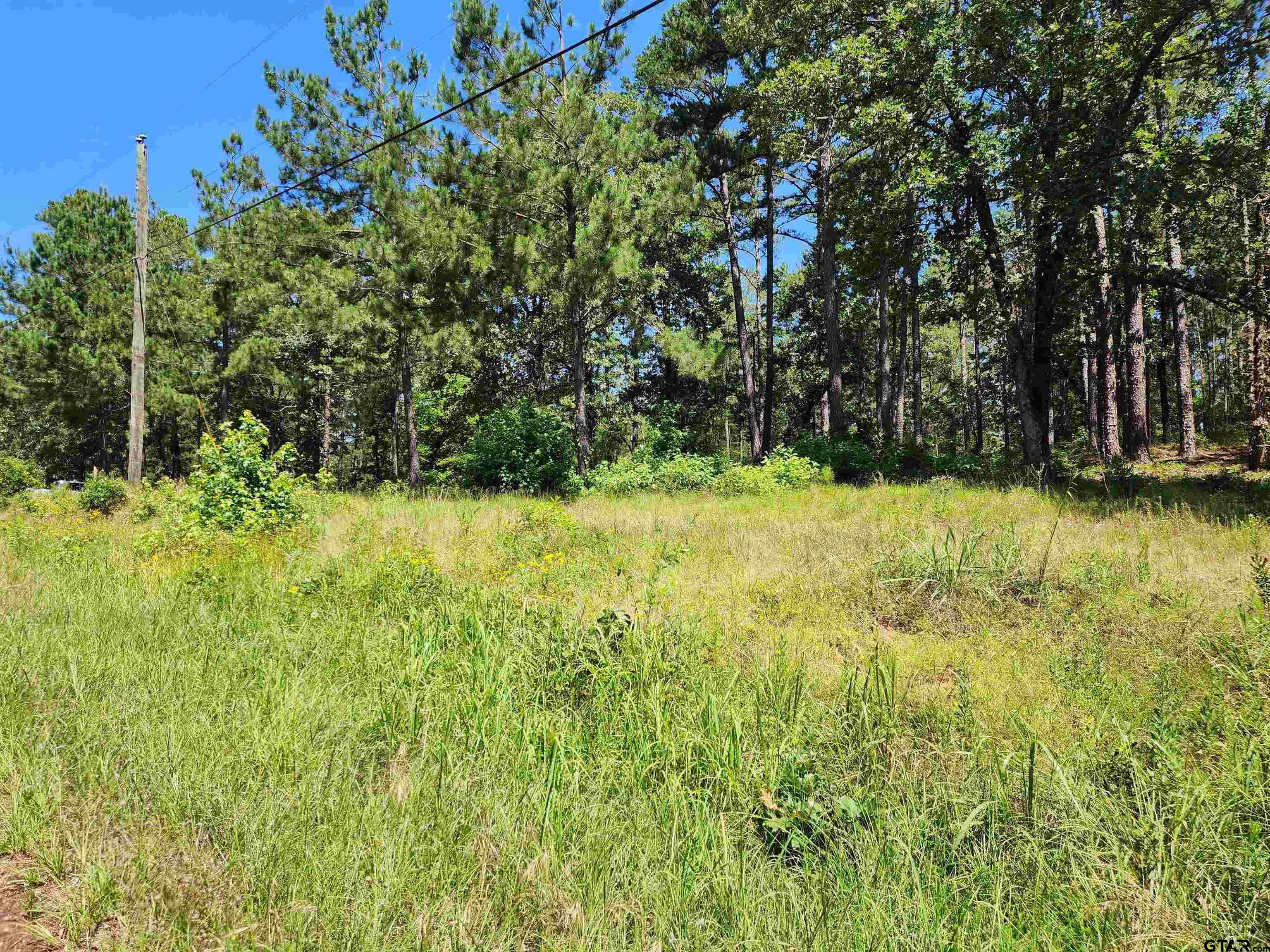 Property Photo: 16373 County Road 436 TX 75771