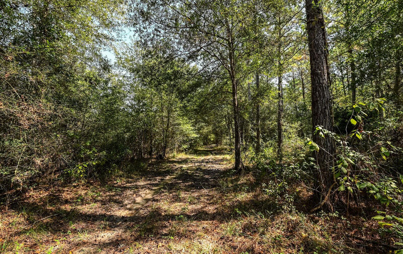 Property Photo: 0 Hwy 105 TX 77564