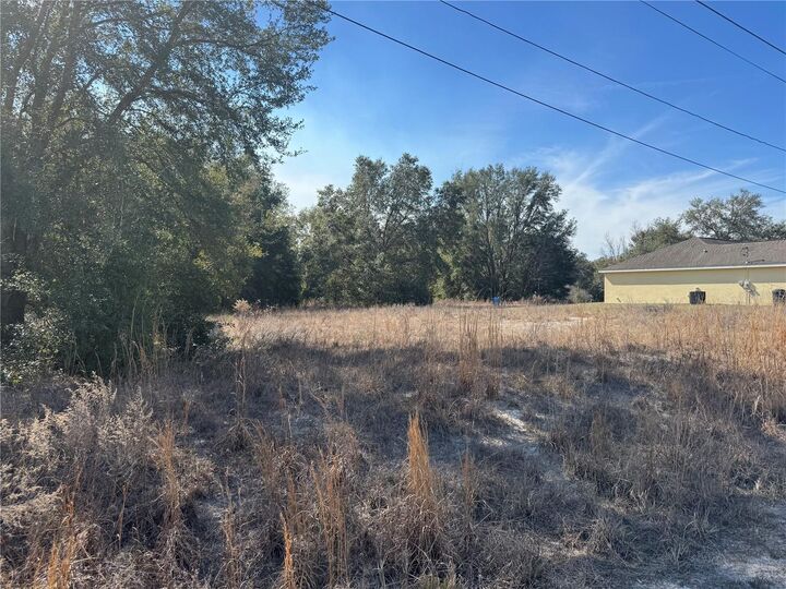 Property Photo:  Lot 5 SW 108th Street  FL 34432 