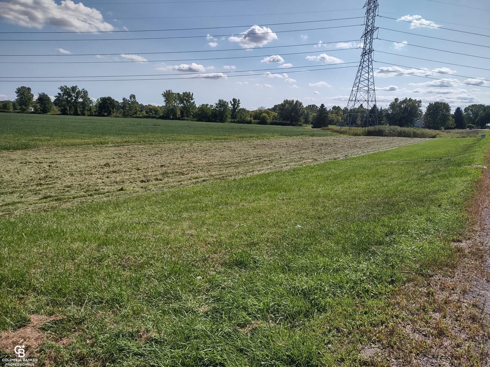 Property Photo: 00 Armada Ridge Road MI 48005