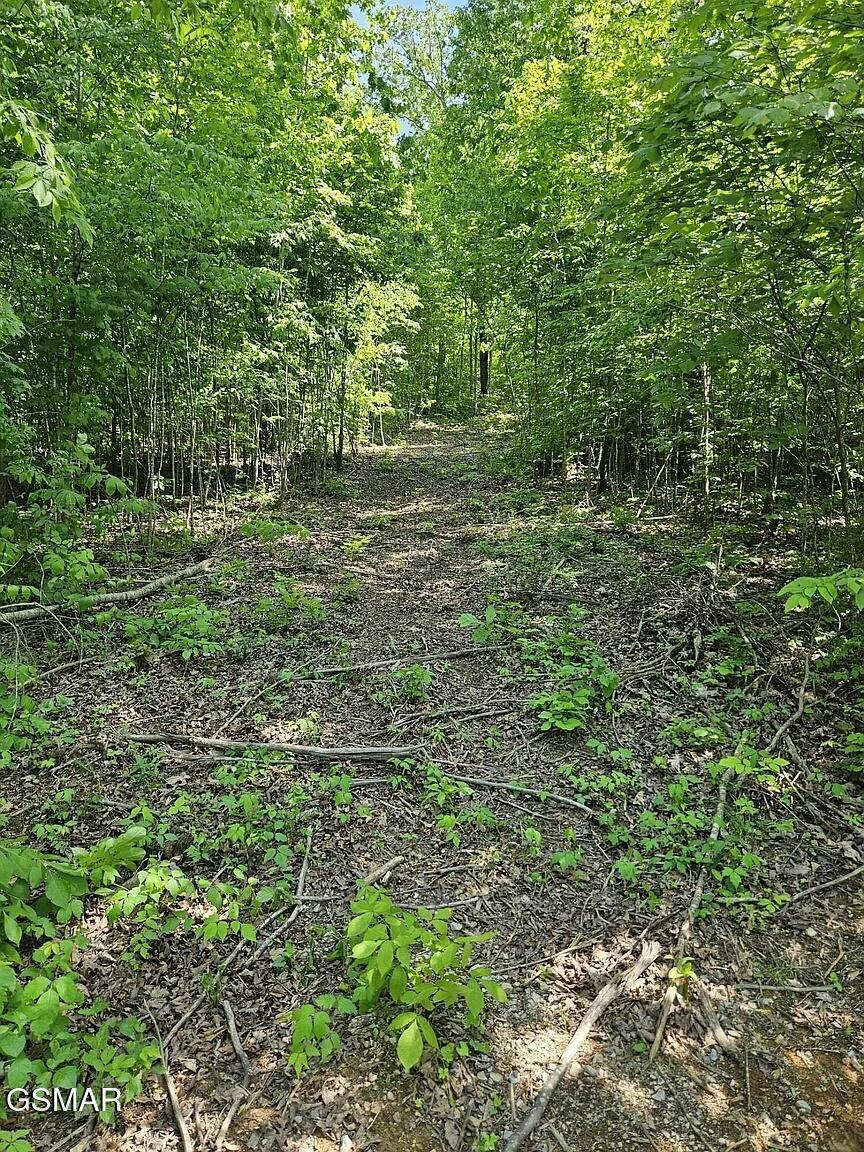 Property Photo:  0.93 Acre Nina Rd  TN 37890 