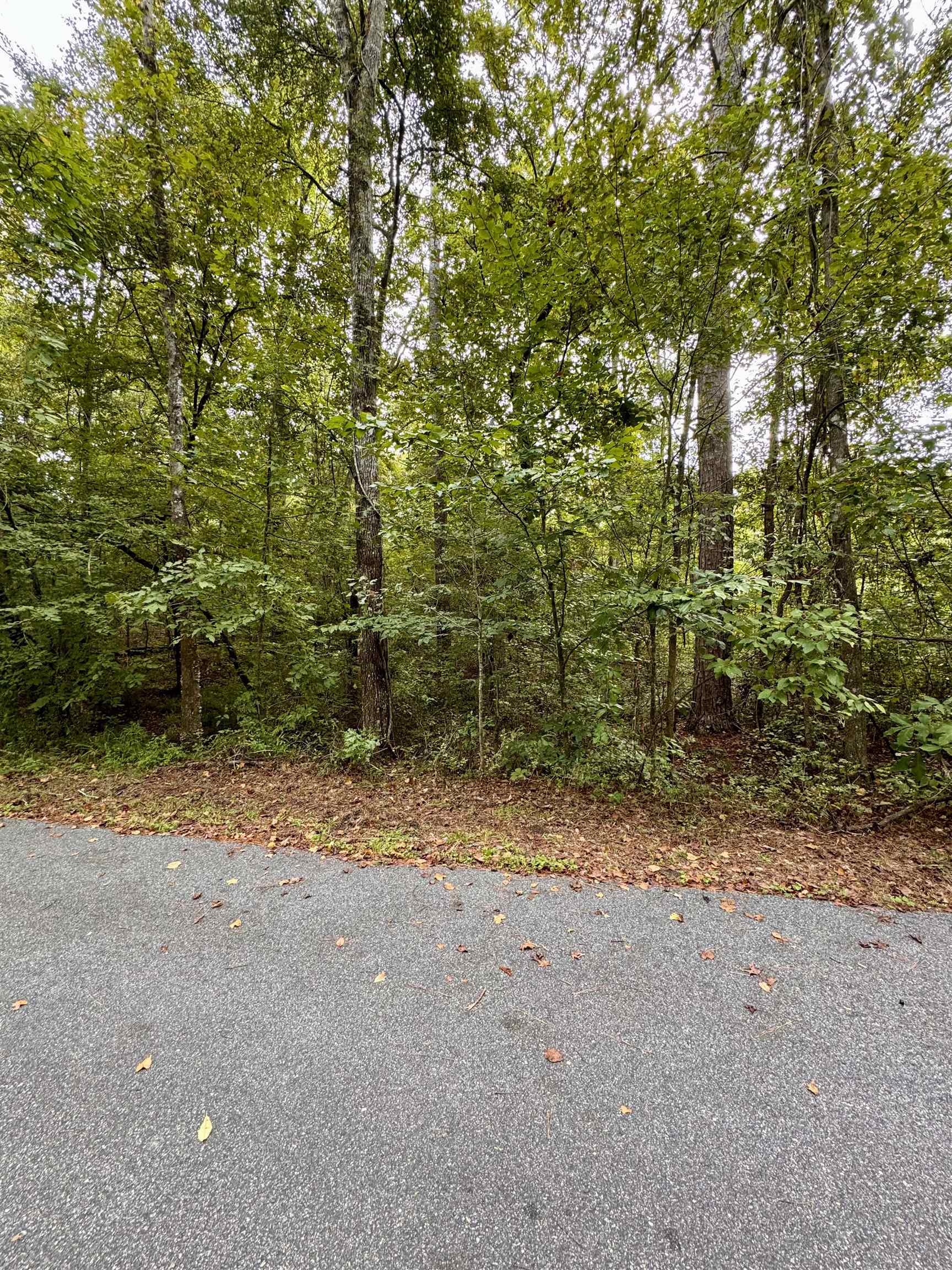 Property Photo:  Buckhorn Road  FL 32312 