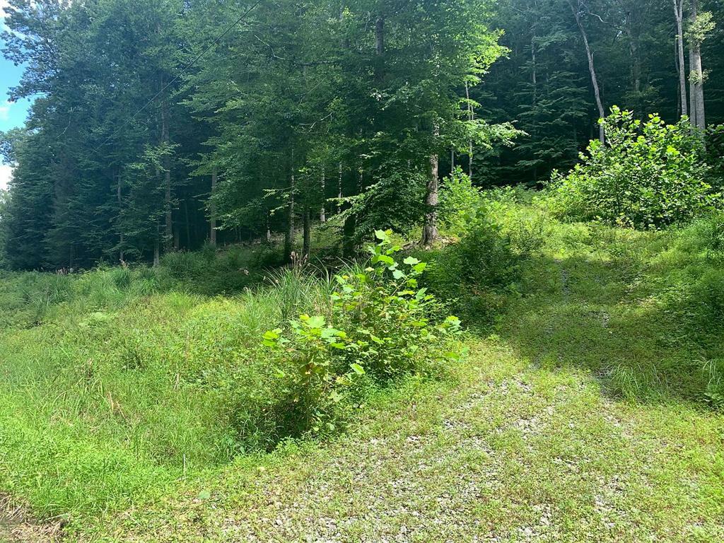 Property Photo:  00 Mountain Laurel Road  WV 26651 