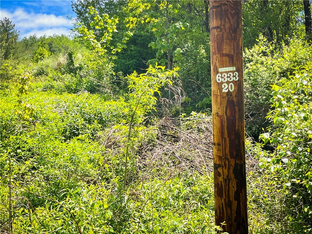 Property Photo: 200 Cumber Road NY 13734