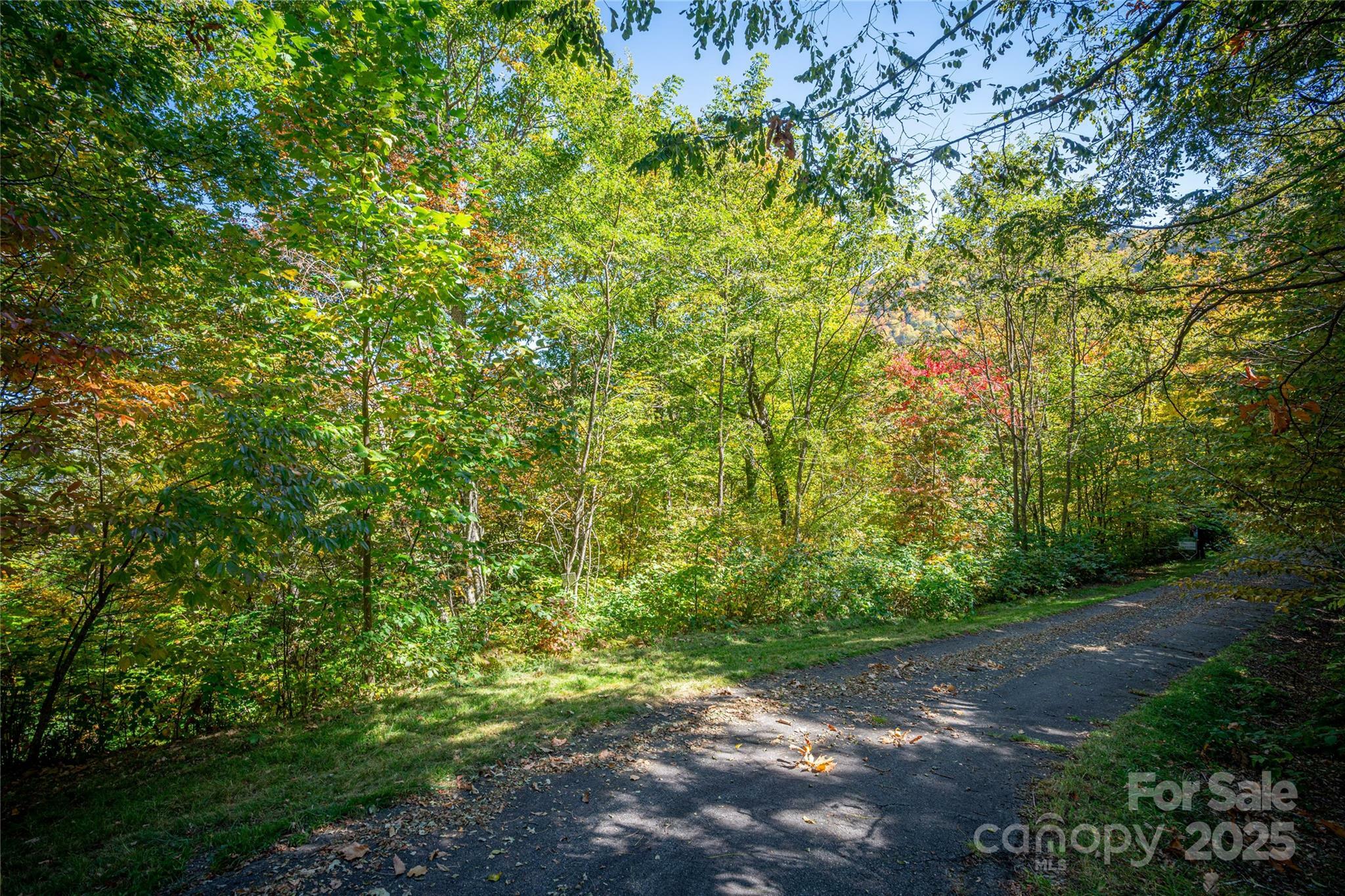 Property Photo:  202 Nuthatch Lane 202 &Amp 203  NC 28751 