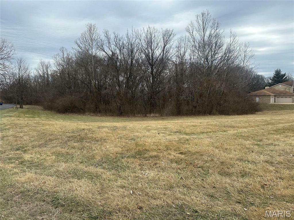 Property Photo:  1548 Fountainhead Lane  MO 63138 