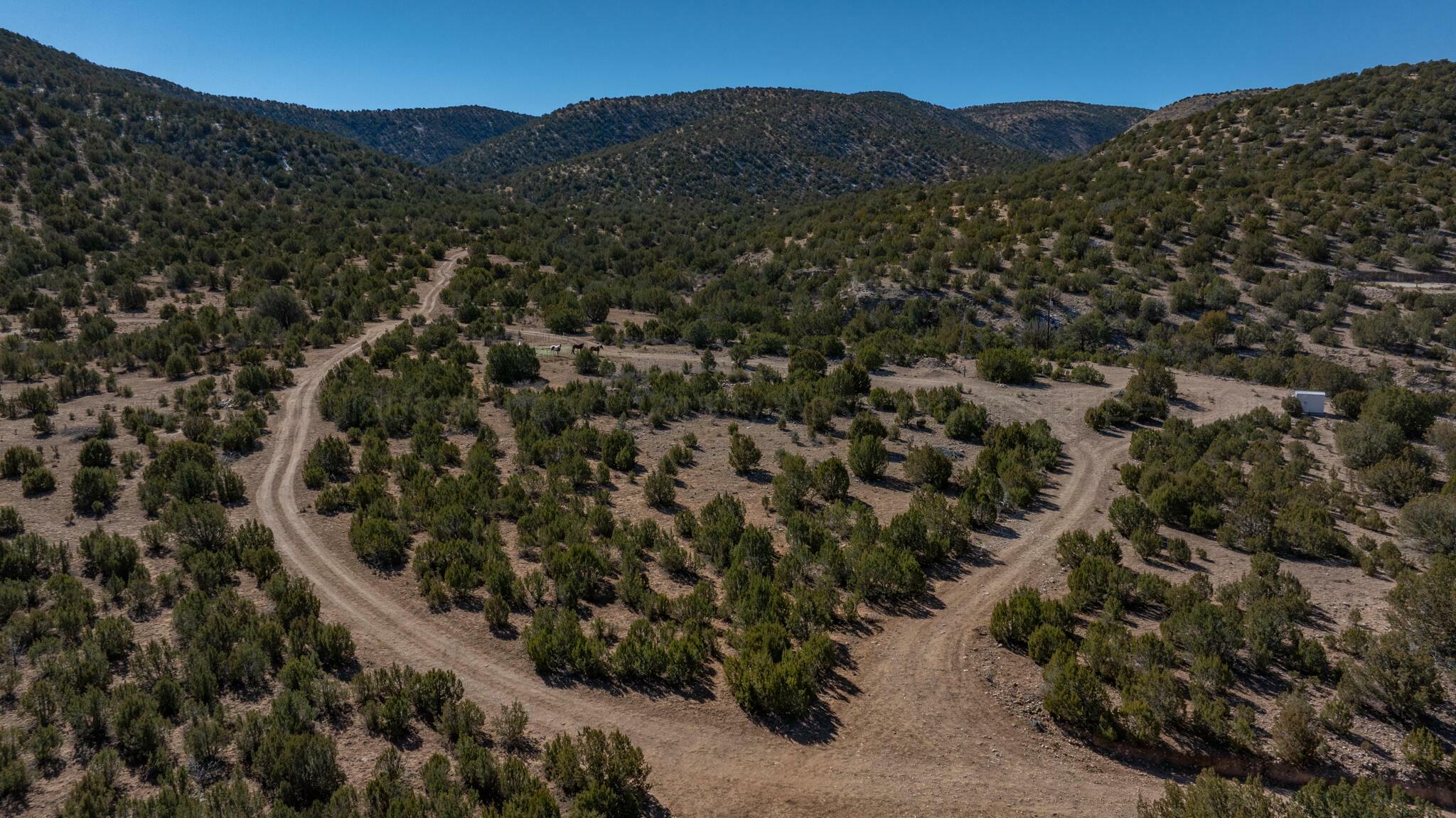 Property Photo:  0 El Valle Loop  NM 88348 