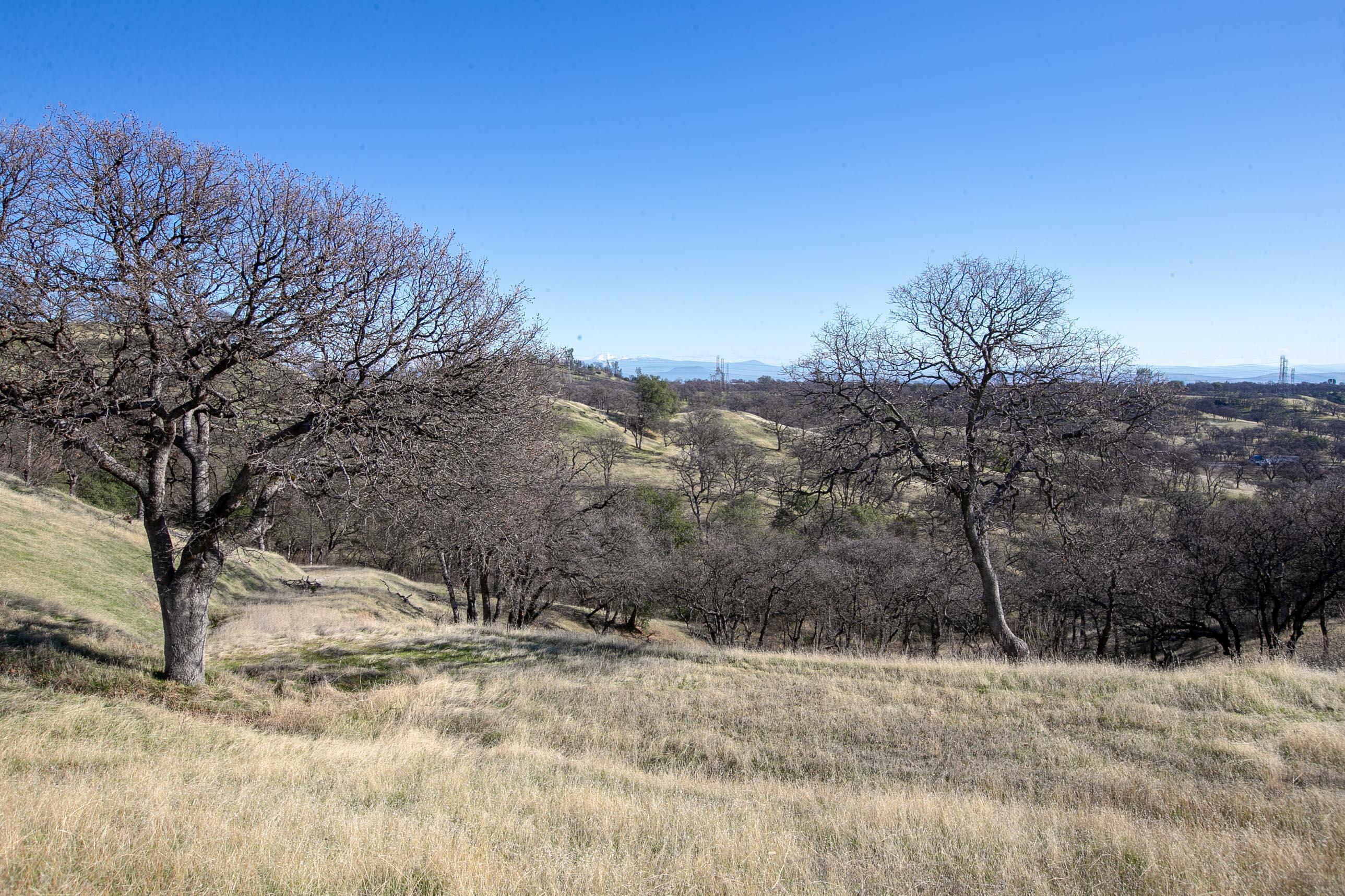 Property Photo:  Lot 13 Happy Valley Trail  CA 96022 