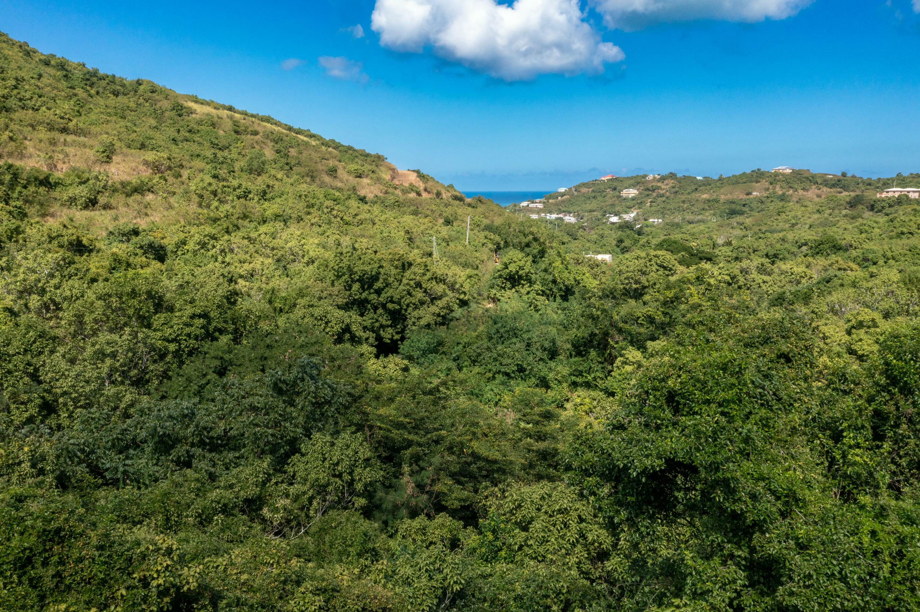 Property Photo: 17 Of 137 Mt. Welcome Ea VI 00820