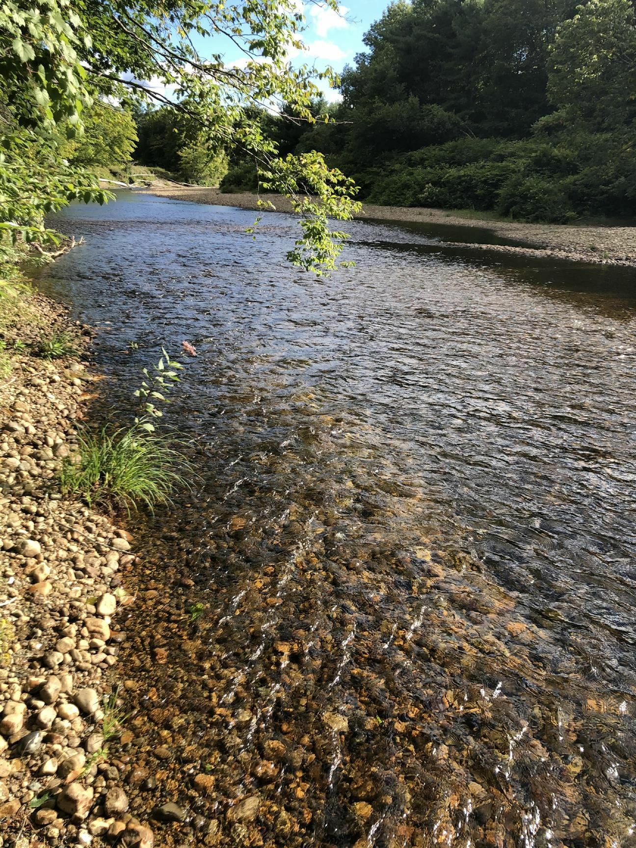 Property Photo: 2425 Buffalo Road NH 03266