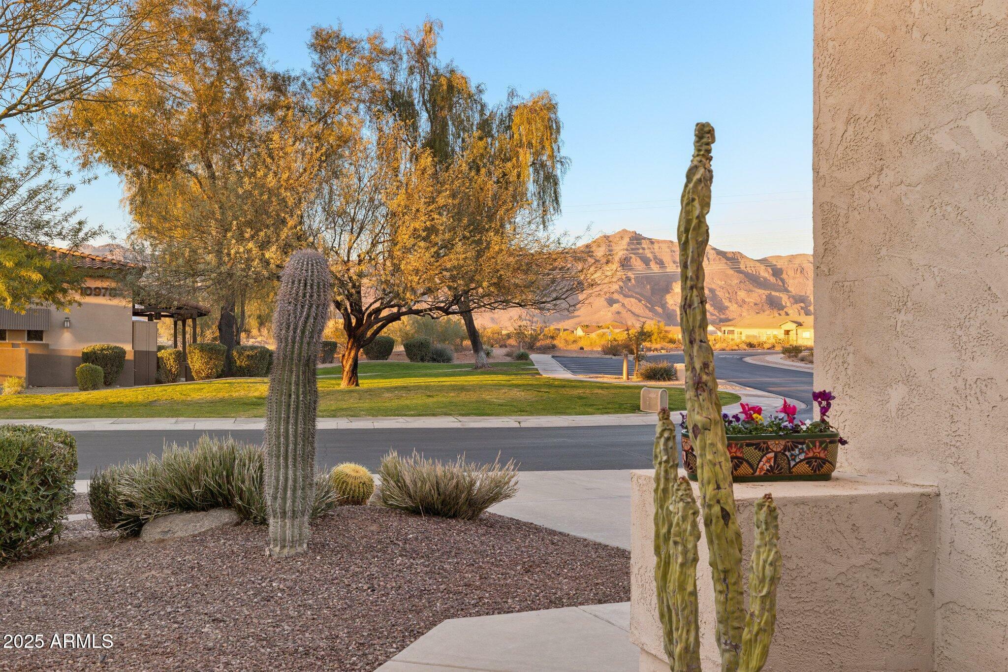 Property Photo:  11021 E Castle Dome Trail  AZ 85118 