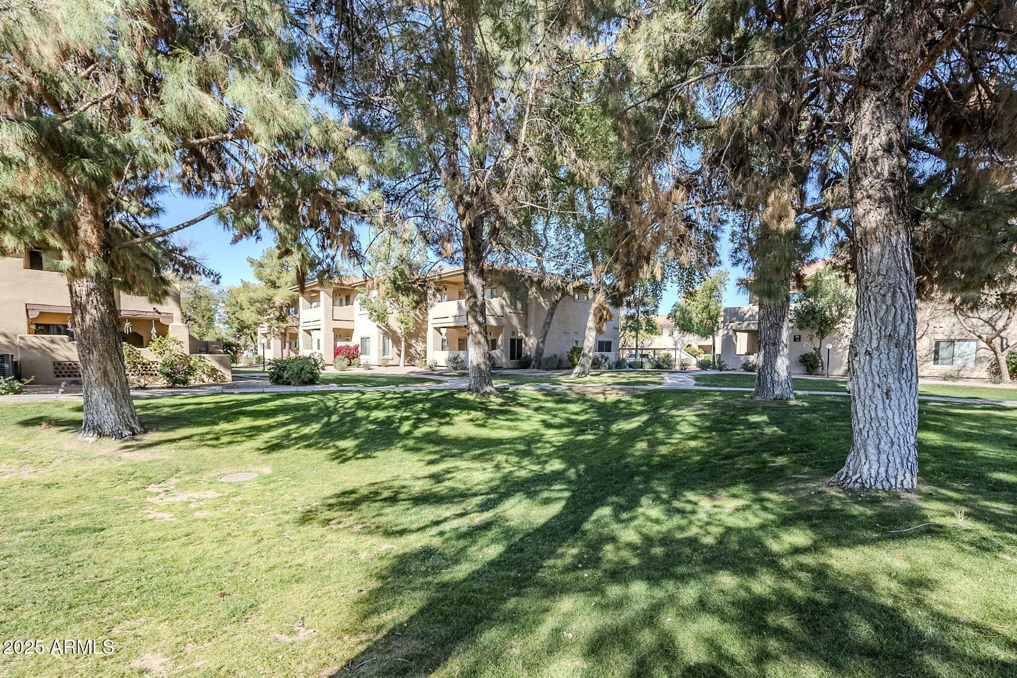 Property Photo: 1351 N Pleasant Drive 1031 AZ 85225
