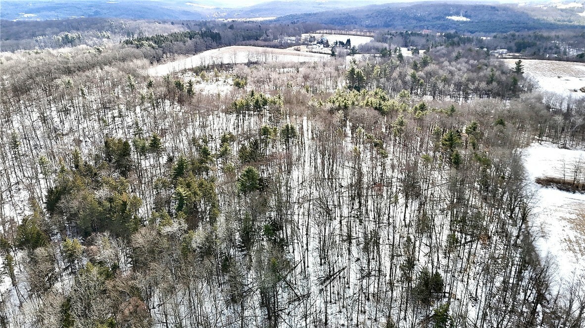 Property Photo:  0 Forest Hill  NY 13732 