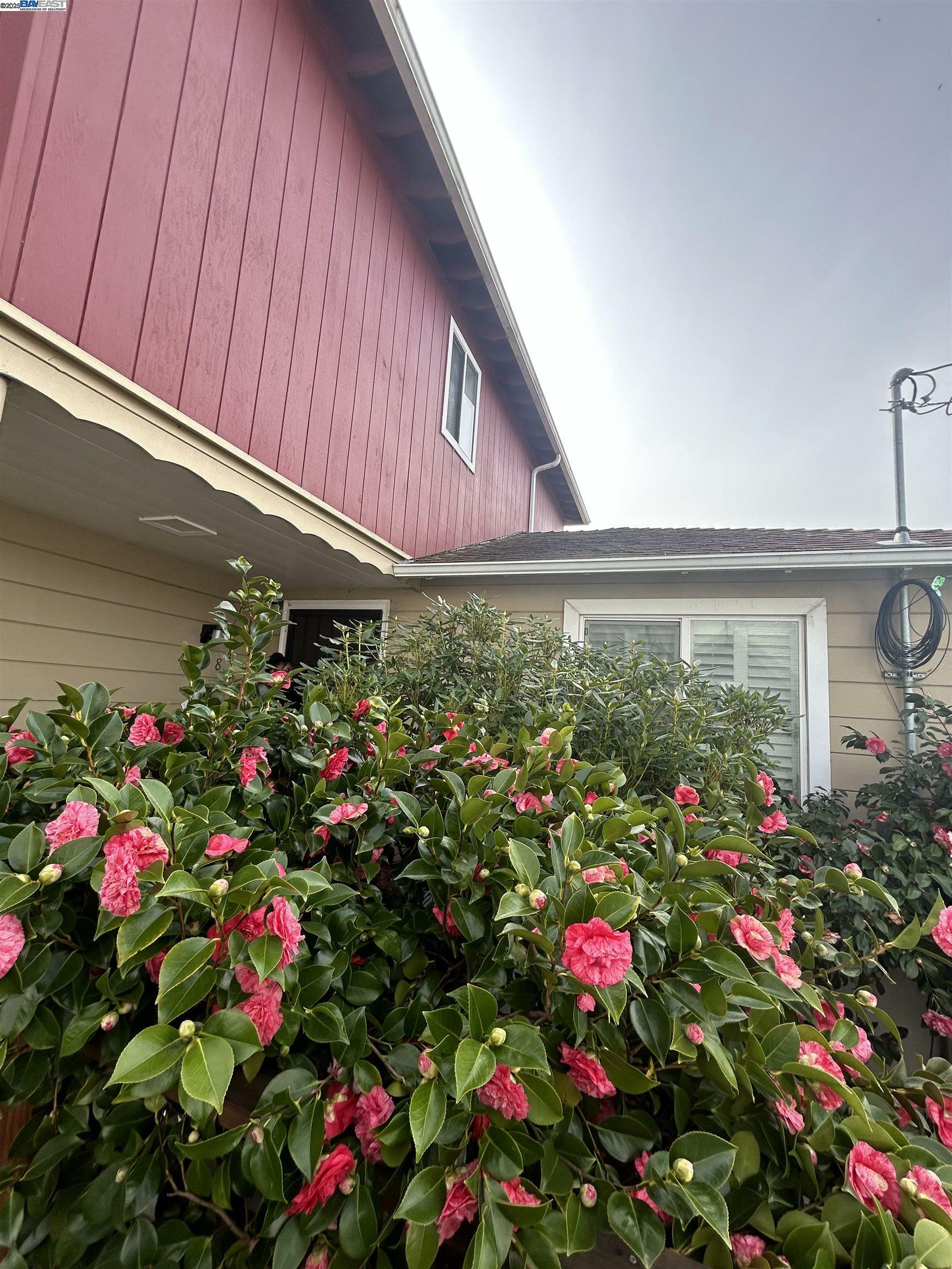 Property Photo:  4498 Hyacinth Ave  CA 94619 