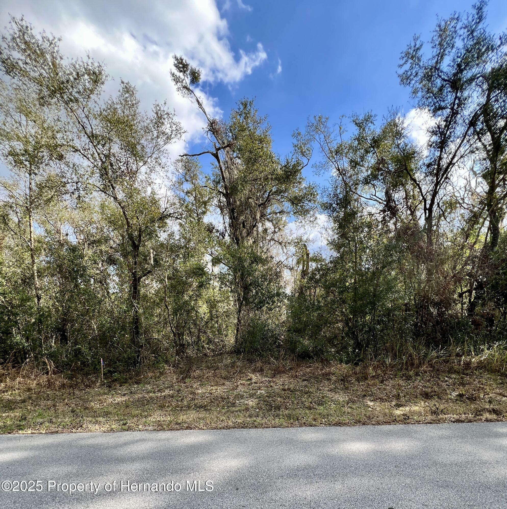 Property Photo: 0 Smallman Street FL 33597