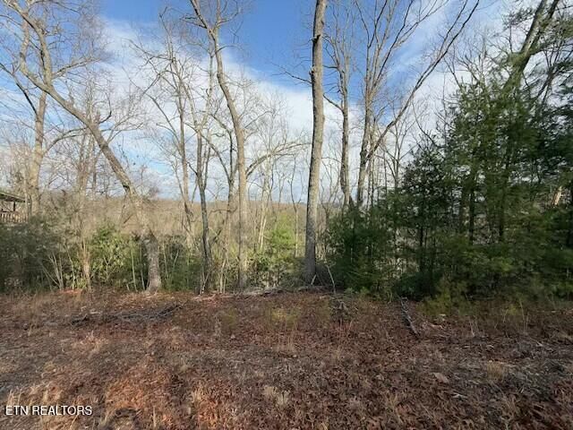 Property Photo:  973 & 974 Ridgefield  TN 37876 