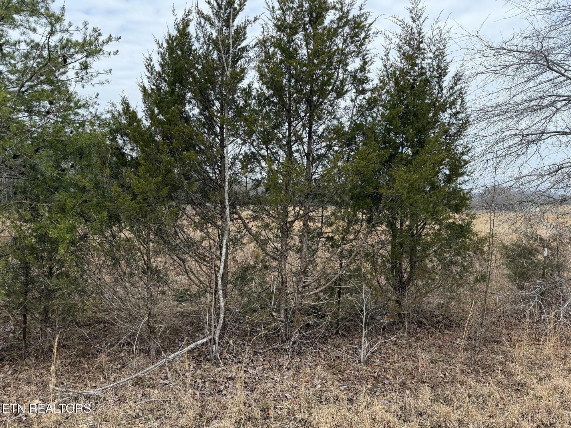 Property Photo:  2630 River Rd  TN 37763 